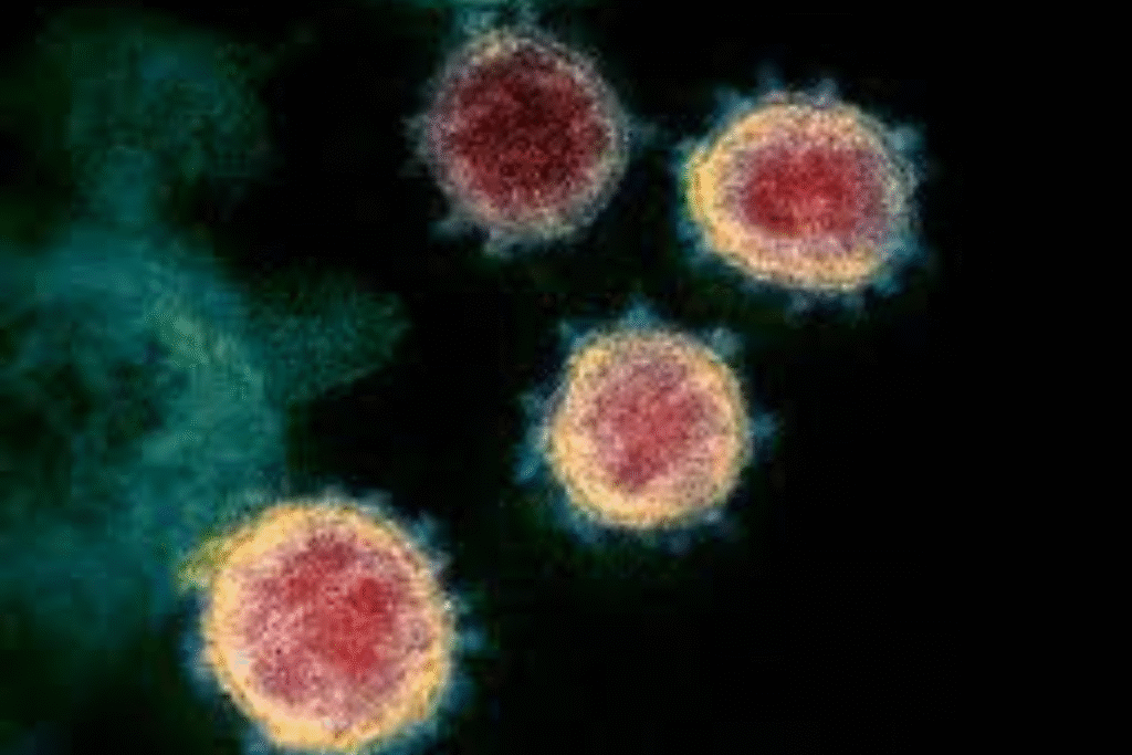 what is virus